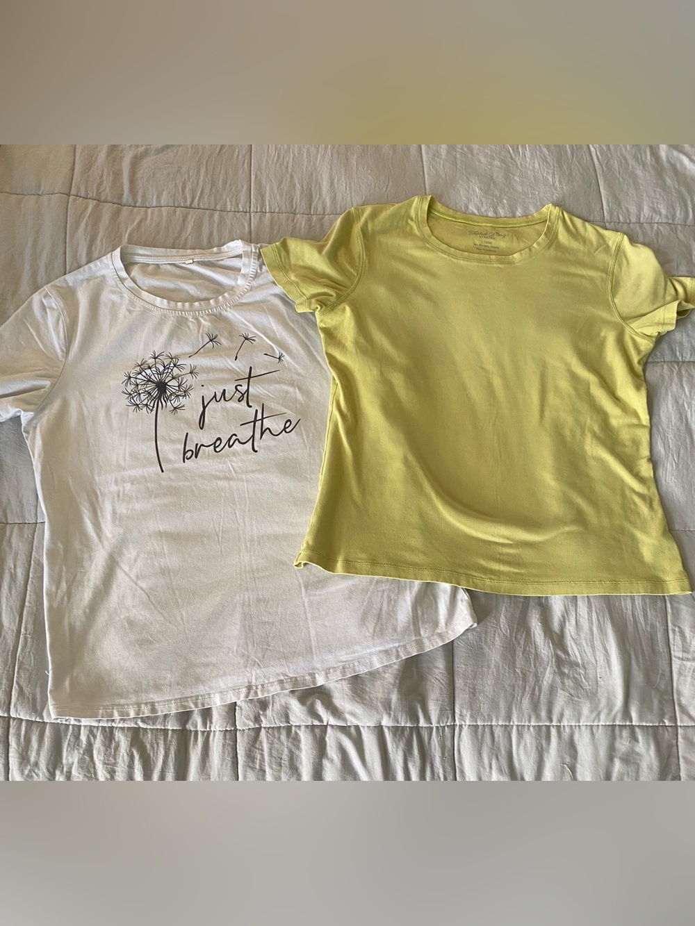 Faded Glory women’ Yellow Short-Sleeve Tee & White Graphic Tee Set